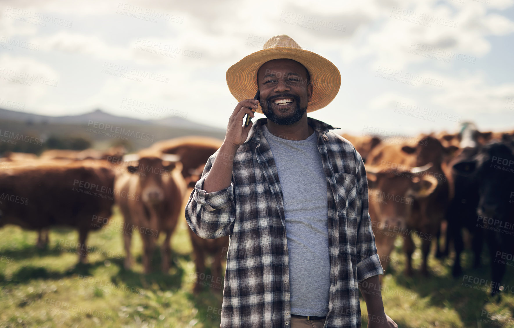 Buy stock photo Shot of a mature man using a smartphone while working on a cow farm