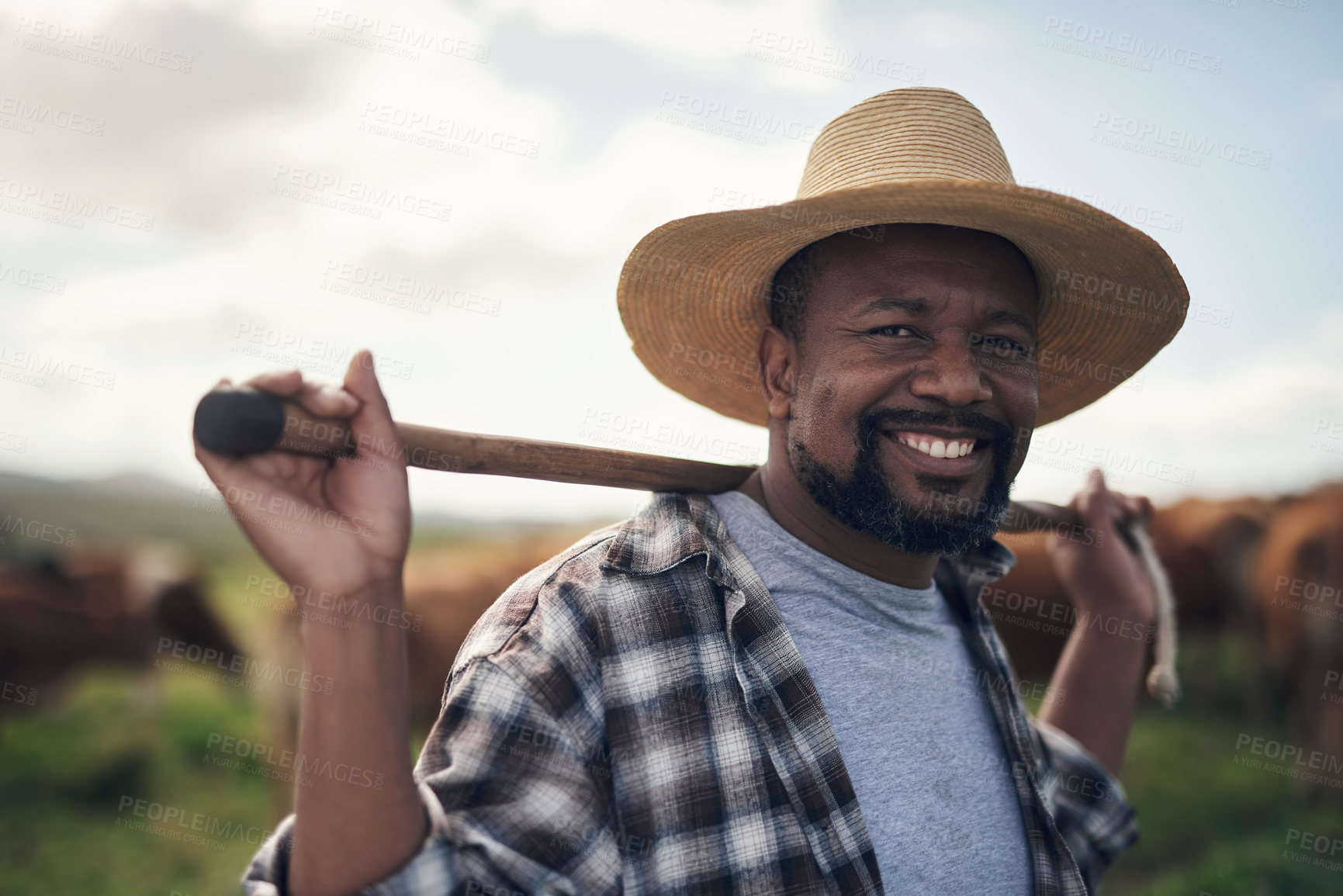 Buy stock photo Shot of a mature man working on a farm