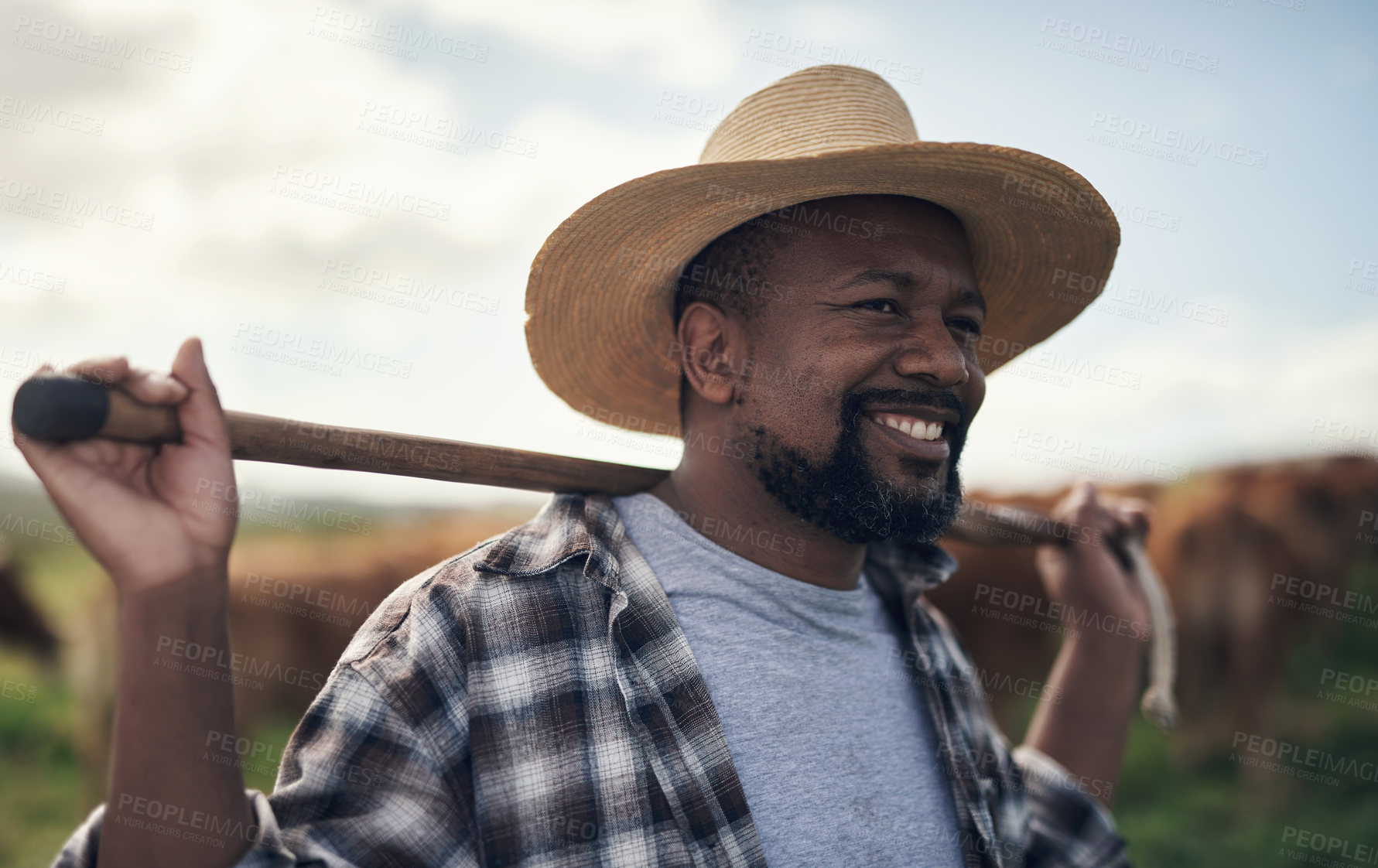 Buy stock photo Shot of a mature man working on a farm