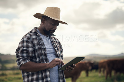 Buy stock photo Shot of a mature man using a digital tablet while working on a cow farm