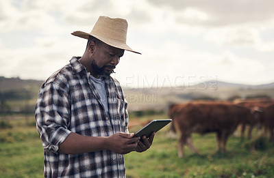 Buy stock photo Shot of a mature man using a digital tablet while working on a cow farm