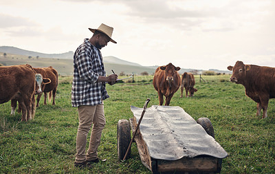 Buy stock photo Shot of a mature man writing notes while working on a cow farm