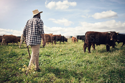 Buy stock photo Shot of a man working on a cow farm