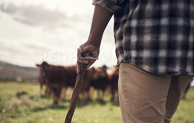 Buy stock photo Cropped shot of a man working on a cow farm