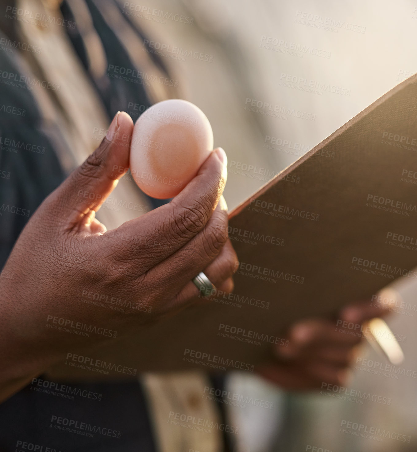 Buy stock photo Shot of an unrecognisable farmer inspecting the quality of eggs on his farm