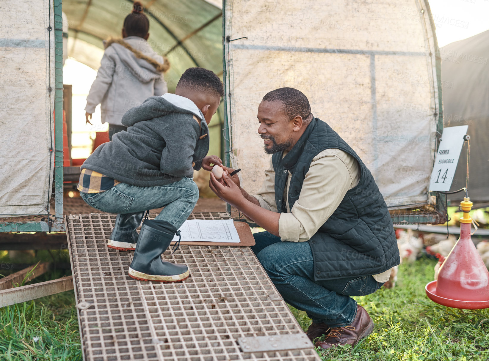 Buy stock photo Shot of a man working with his adorable son on a chicken farm