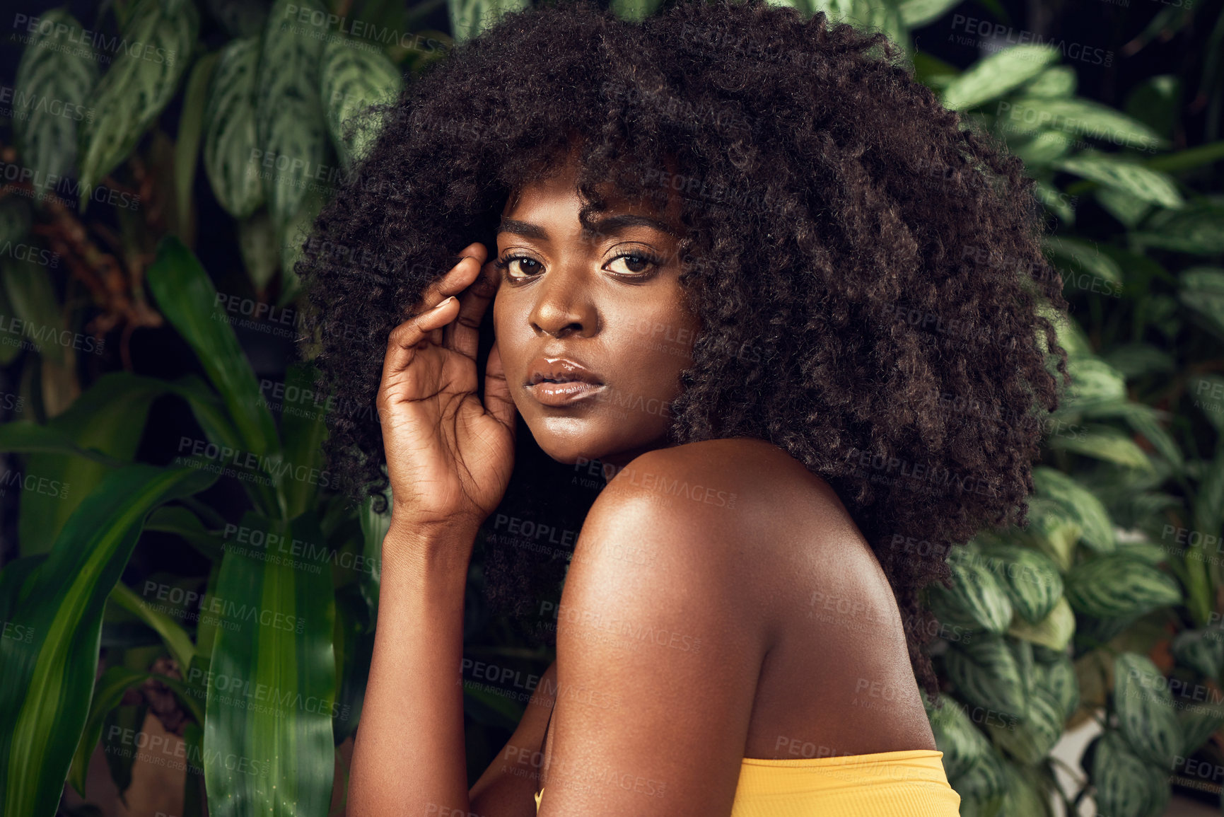 Buy stock photo Shot of a beautiful young woman posing against a leafy background