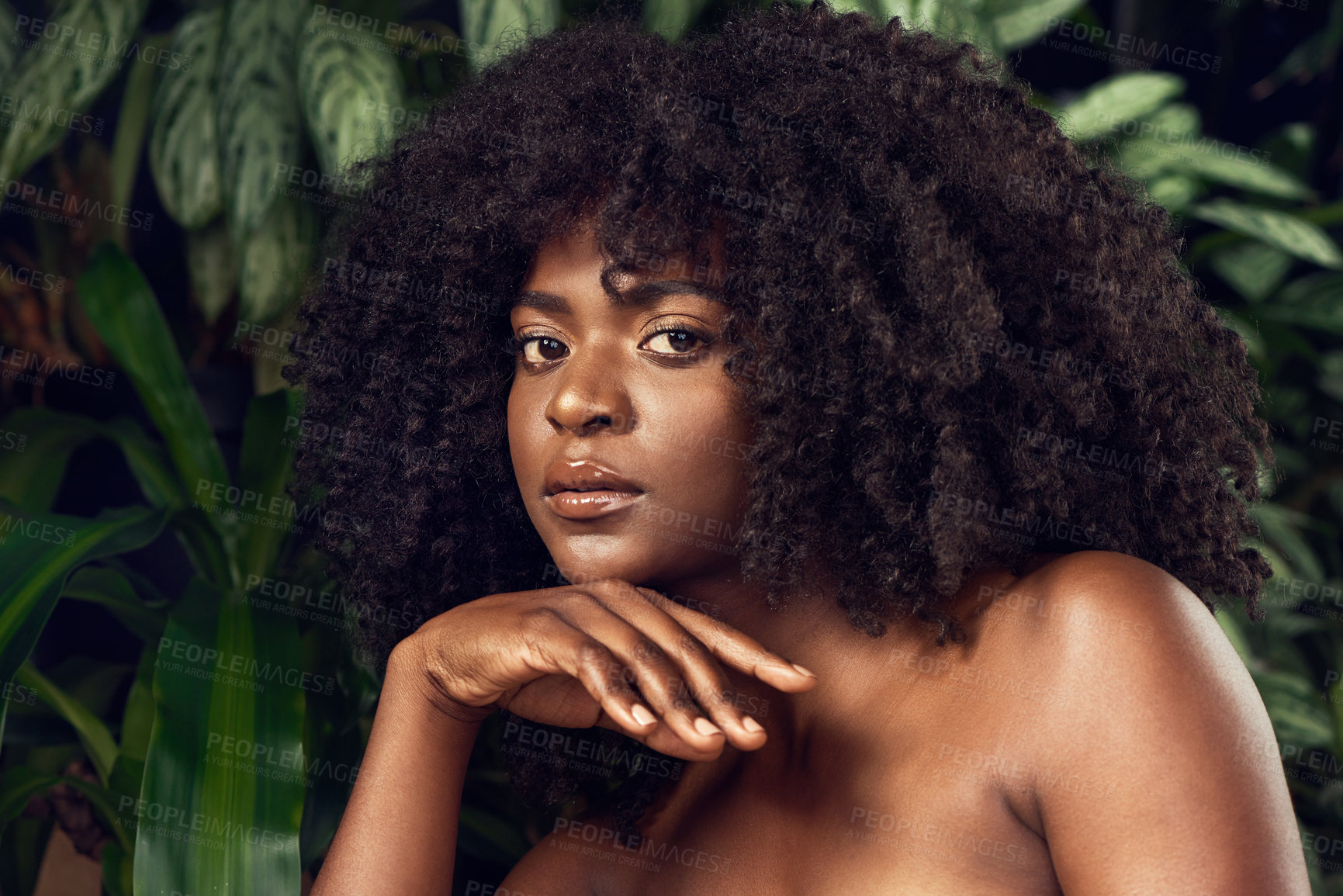 Buy stock photo Shot of a beautiful young woman posing against a leafy background