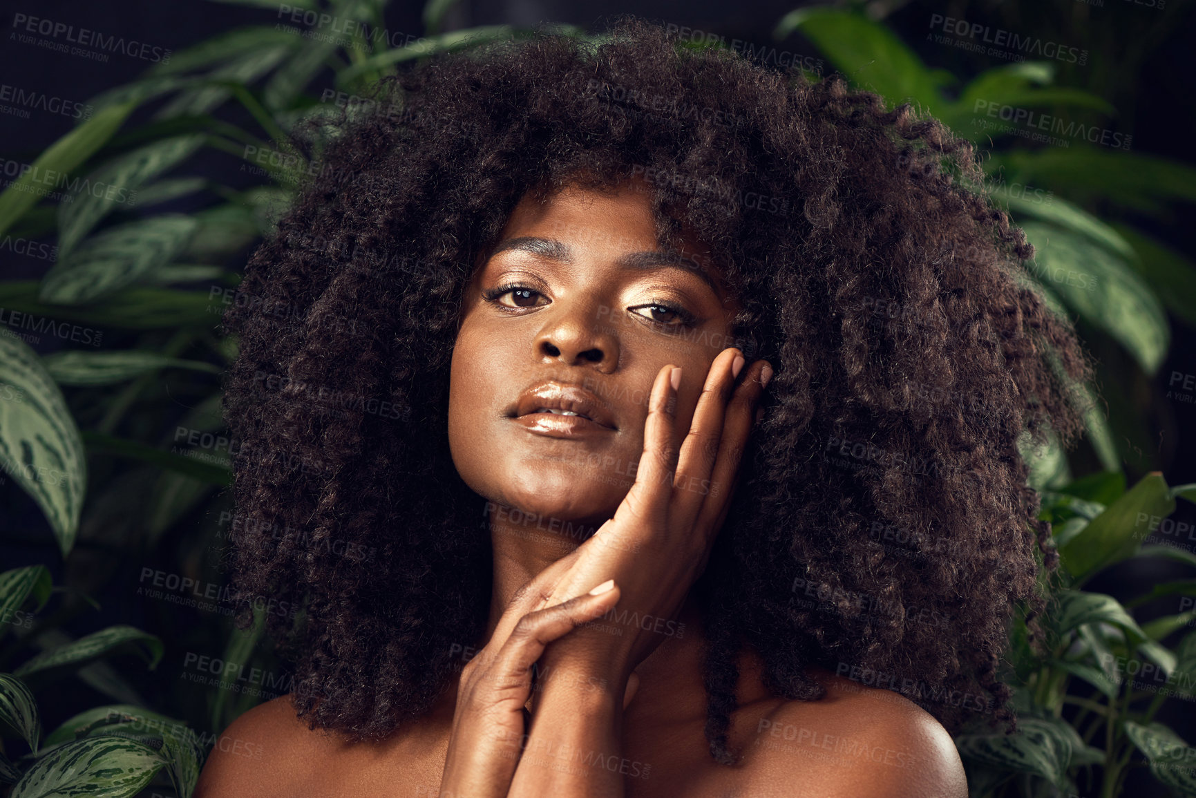 Buy stock photo Shot of a beautiful young woman posing against a leafy background