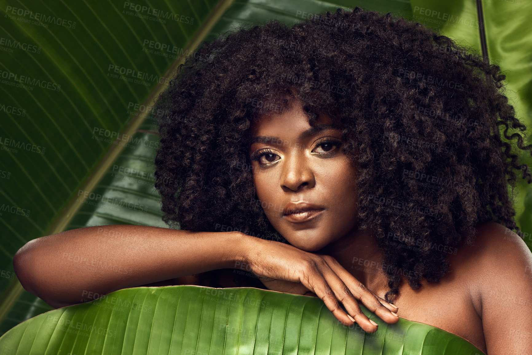 Buy stock photo Shot of a beautiful young woman covering herself with a plant