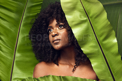 Buy stock photo Shot of a beautiful young woman covering herself with a plant