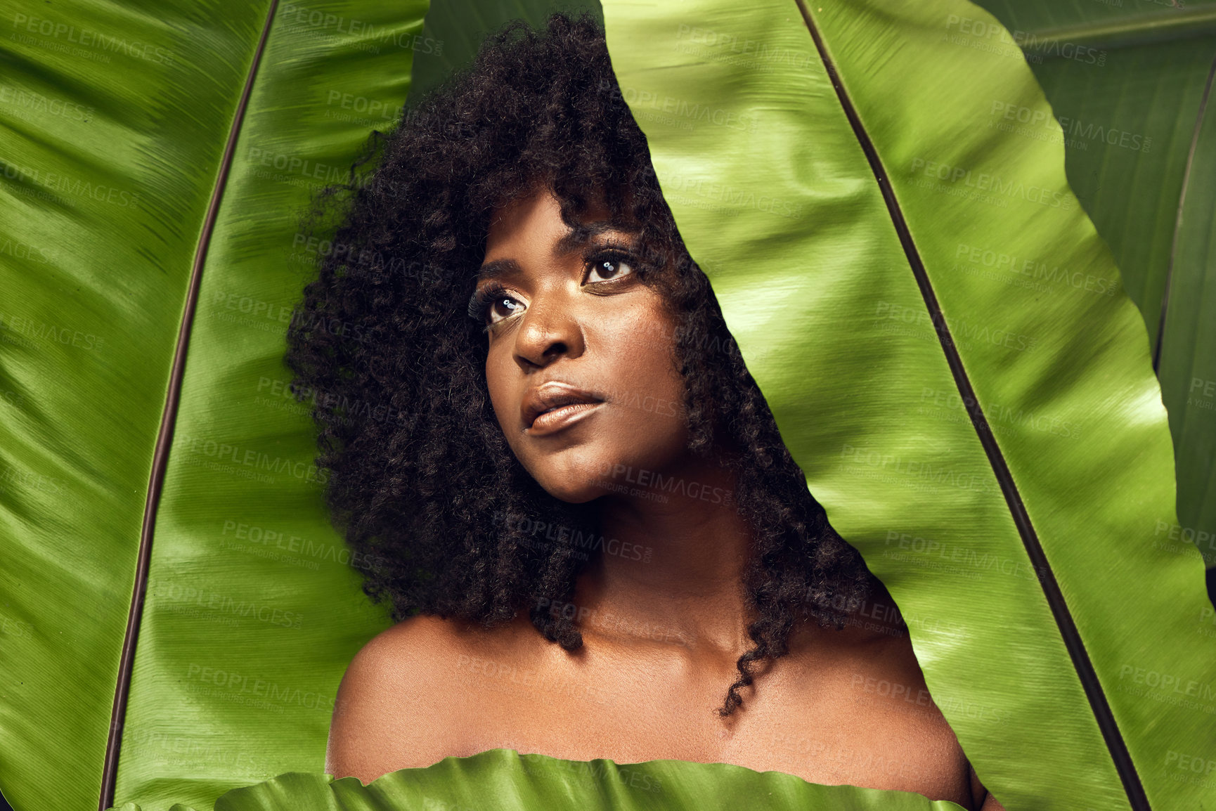 Buy stock photo Shot of a beautiful young woman covering herself with a plant