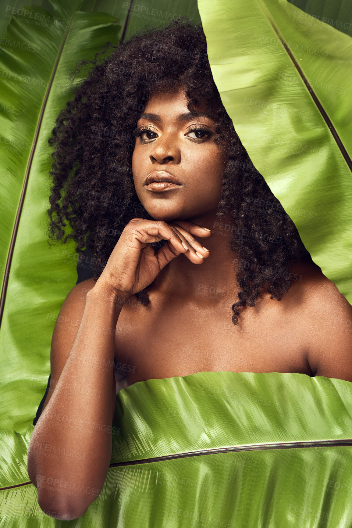 Buy stock photo Shot of a beautiful young woman covering herself with a plant