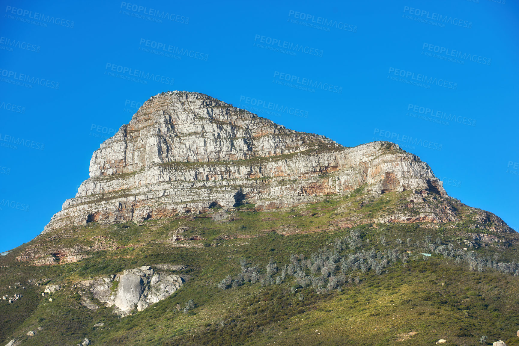 Buy stock photo Beautiful Lions Head mountain on clear blue sky with copy space. Summer landscape of mountains with hills covered in green grass or bushes at a tourism sightseeing location in Cape Town, South Africa