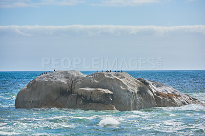 Buy stock photo Ocean view of birds sitting on a boulder or rock in the sea in Camps Bay, Cape Town in South Africa. Relaxed and calm landscape view of the sea and beach during the day in summer against a blue sky