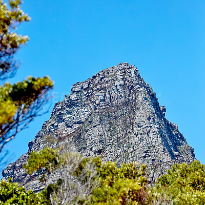 Buy stock photo Twelve Apostles at Table Mountain in Cape Town against a blue sky background from below. Breathtaking view of plants and trees growing around a majestic rocky valley and scenic landmark in nature