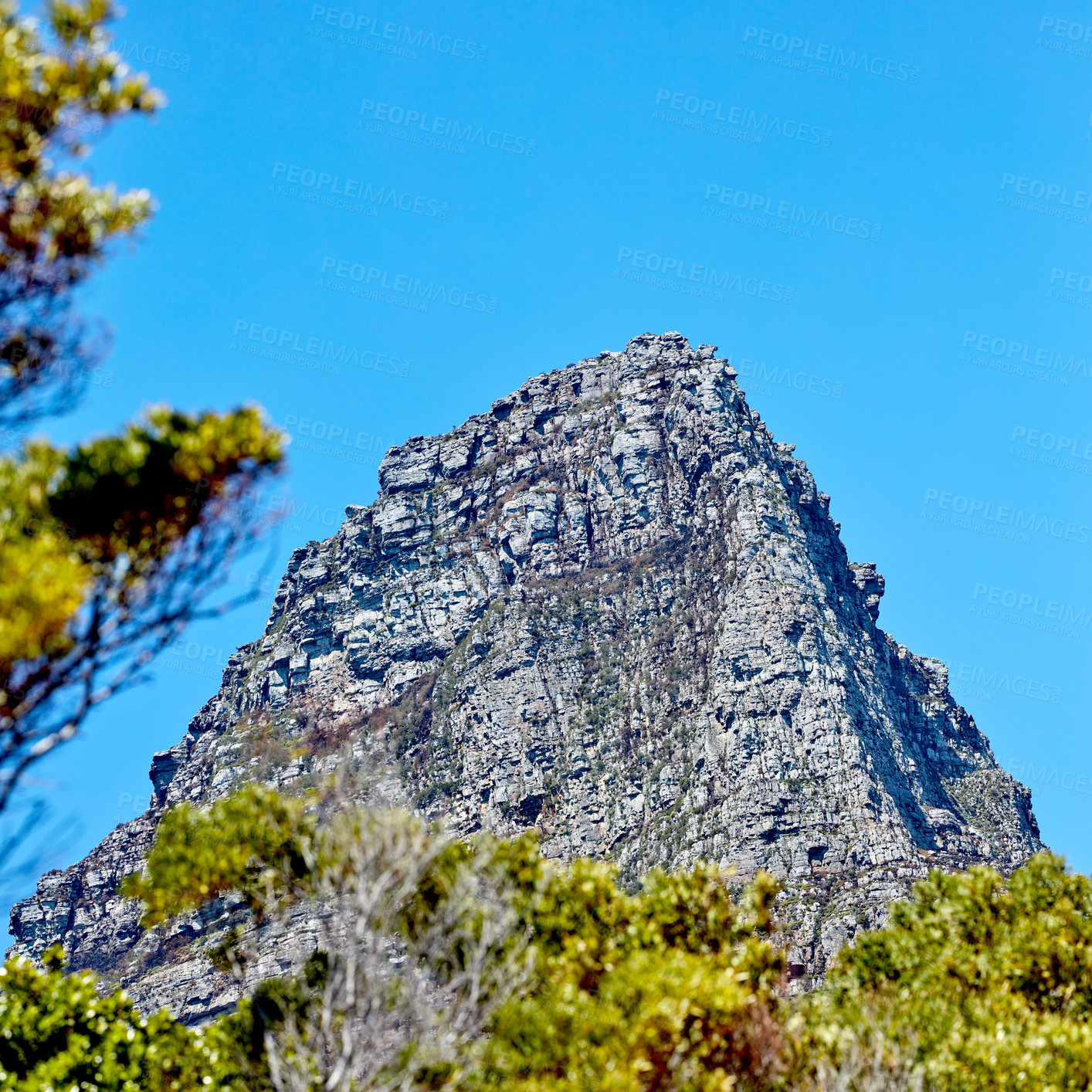 Buy stock photo Twelve Apostles at Table Mountain in Cape Town against a blue sky background from below. Breathtaking view of plants and trees growing around a majestic rocky valley and scenic landmark in nature