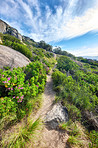 Mountain trail - Table Mountain National Park