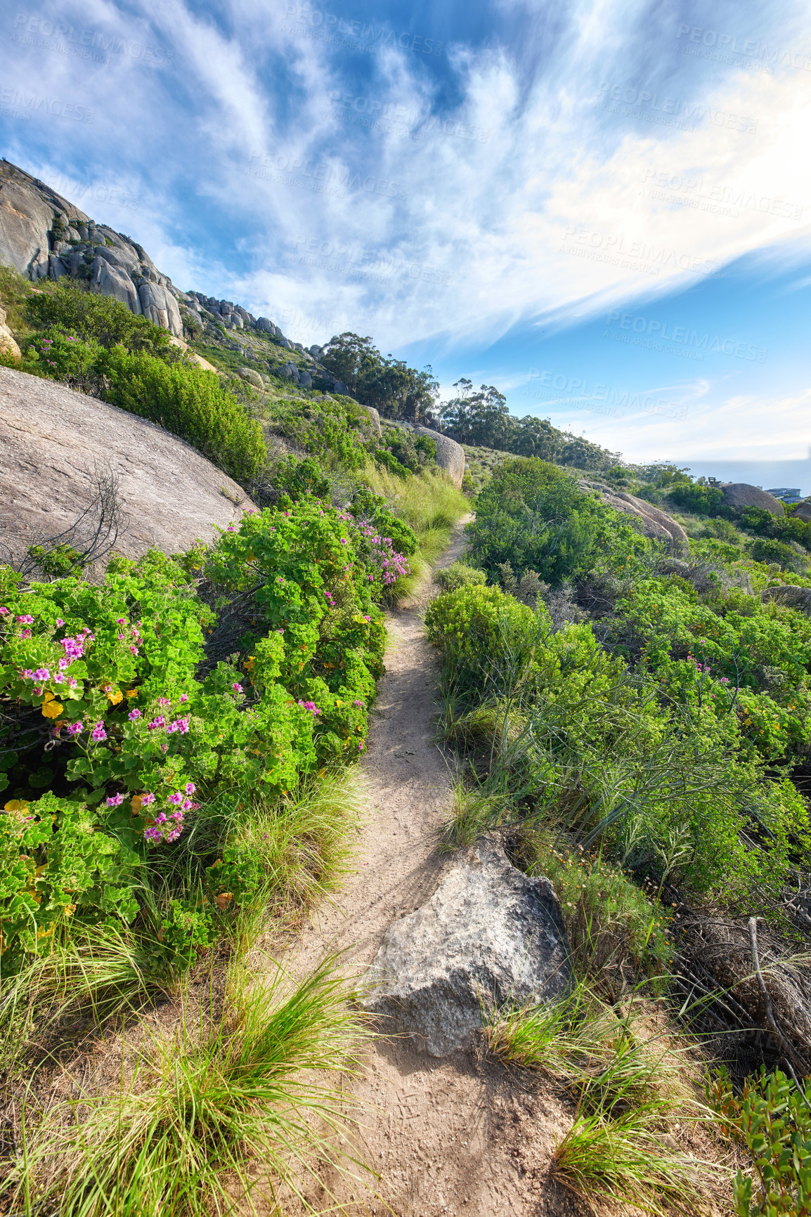 Buy stock photo Mountain trail - Table Mountain National Park, Cape Town, Western Province, South Africa