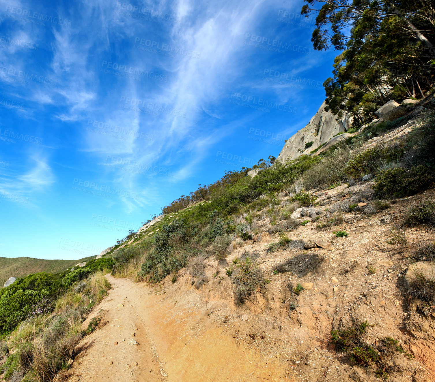 Buy stock photo A quiet mountain trail on Table Mountain in Cape Town, South Africa. Beautiful scenery of green trees, bushes, and plants along a walking path in nature. Scenic view of a valley against a blue sky