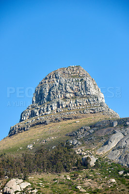 Buy stock photo Landscape of a mountain on a blue sky background with copy space. Beautiful nature view of Lions Head rocky mountains with lush wild green trees and bushes near hiking spot in Cape Town, South Africa