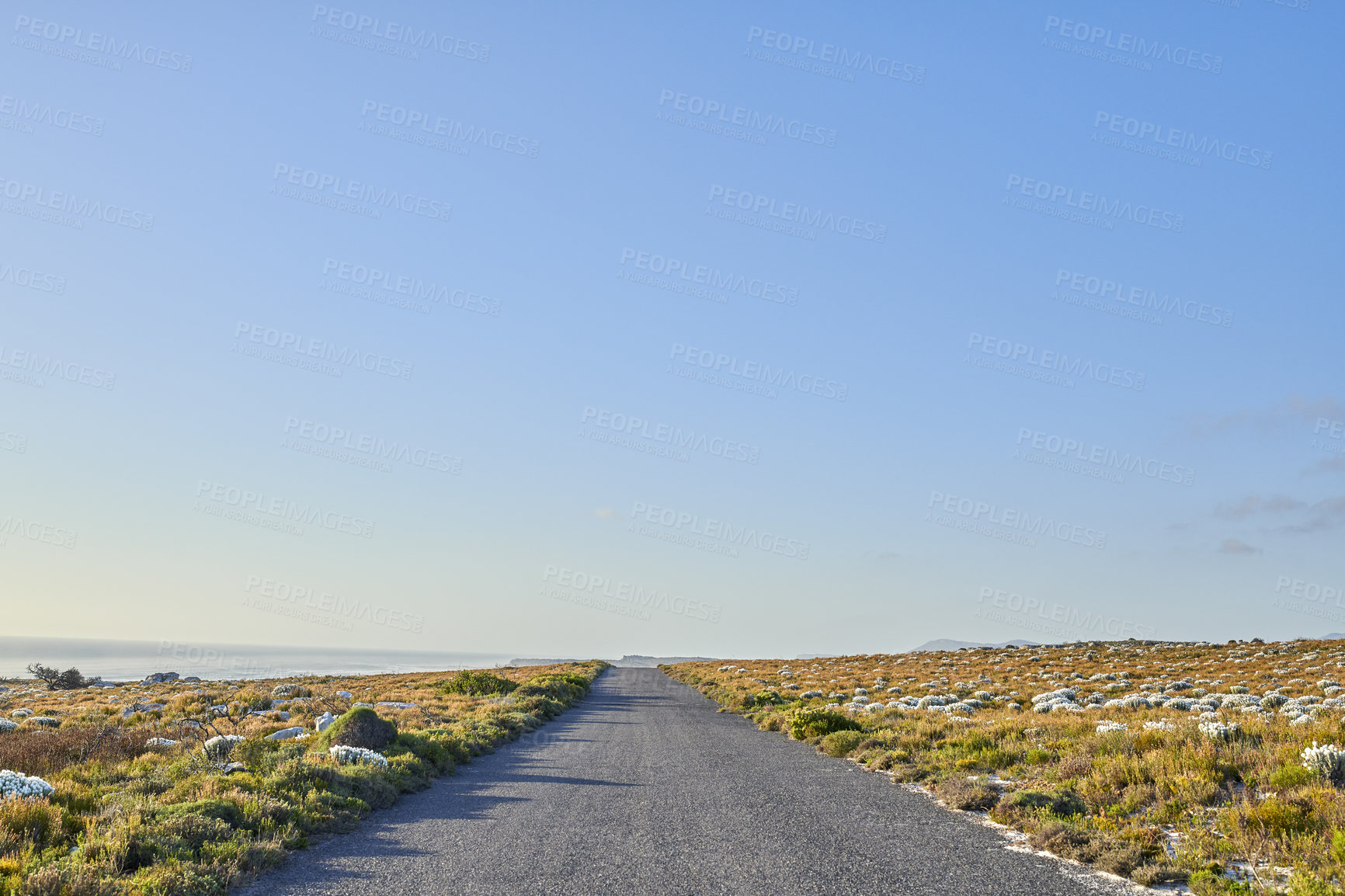 Buy stock photo The wilderness of Cape Point National Park, Western Cape, South Africa