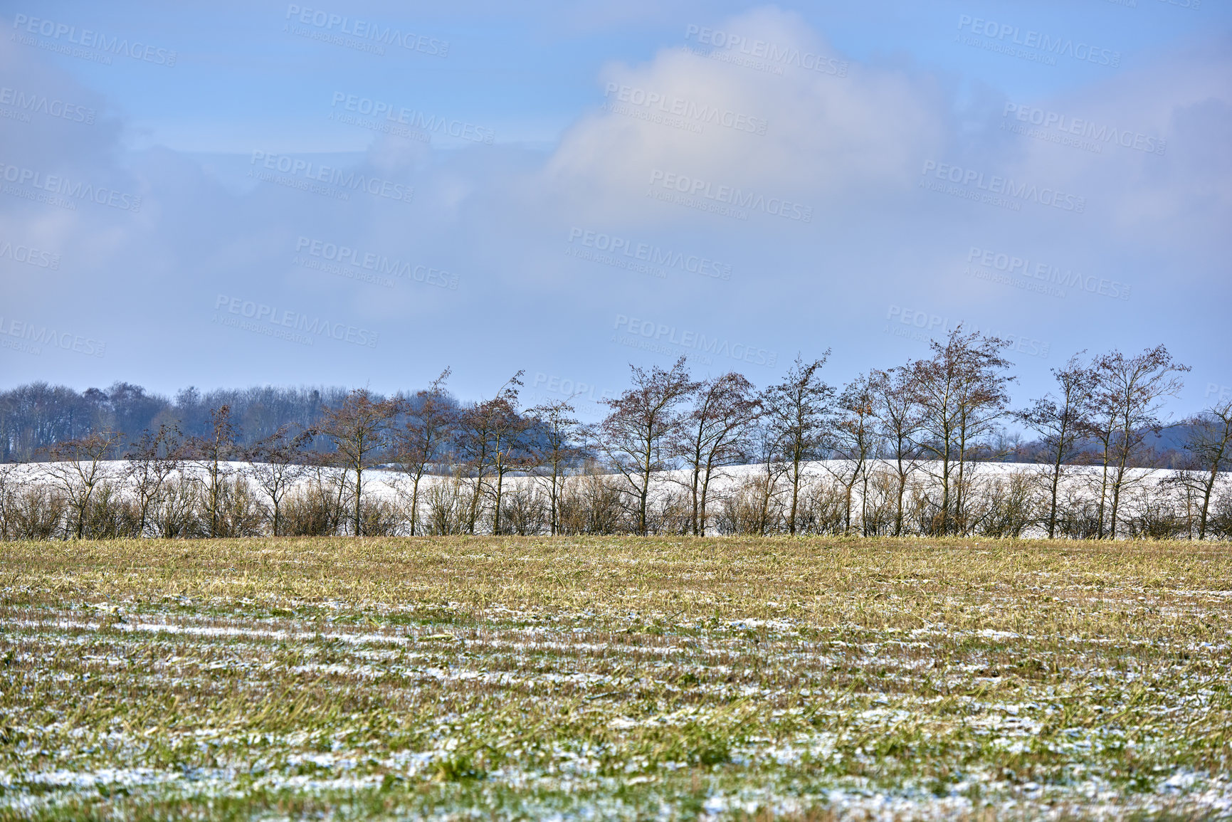 Buy stock photo Winter landscape on a farm with trees in a row against a cloudy sky background with copy space in Denmark. Snowy plowed field across a beautiful countryside in nature during chilly and cold weather