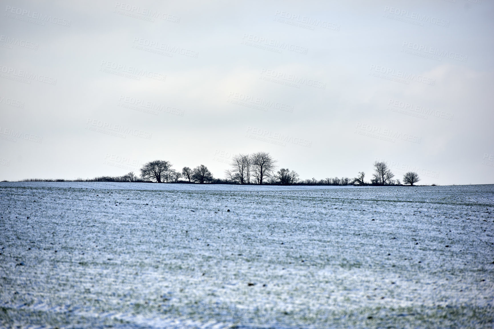 Buy stock photo Snowy plowed field in a rural countryside in nature during chilly and cold weather. Winter landscape on a farm with silhouette of trees in a row against an overcast sky background with copy space