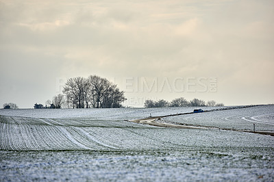 Buy stock photo Landscape view of an empty and secluded field covered in snow during winter in Denmark. Beautiful and peaceful scenery of a cold and snowy day on agricultural land in the countryside with copy space