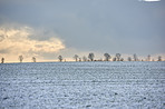 Wintertime in the countryside - Denmark
