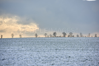 Buy stock photo Danish farmland in wintertime