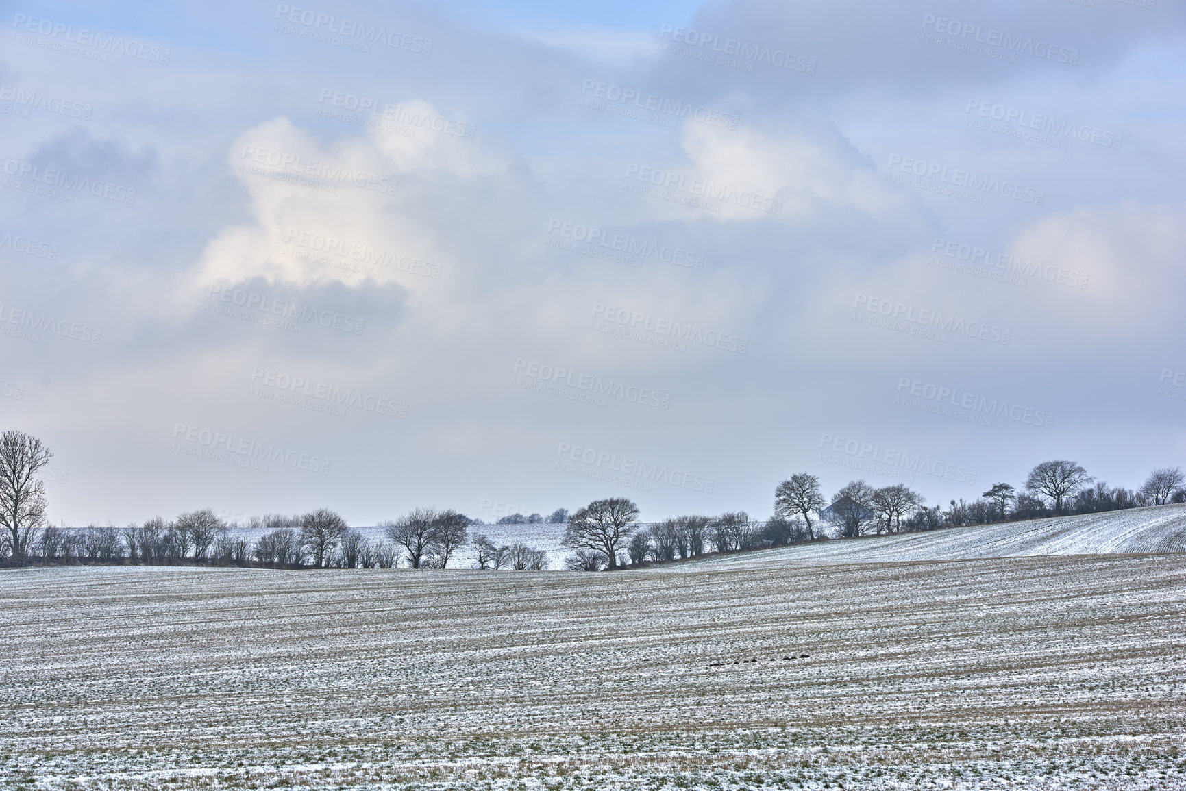 Buy stock photo Danish farmland in wintertime