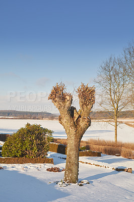 Buy stock photo Denmark in winter