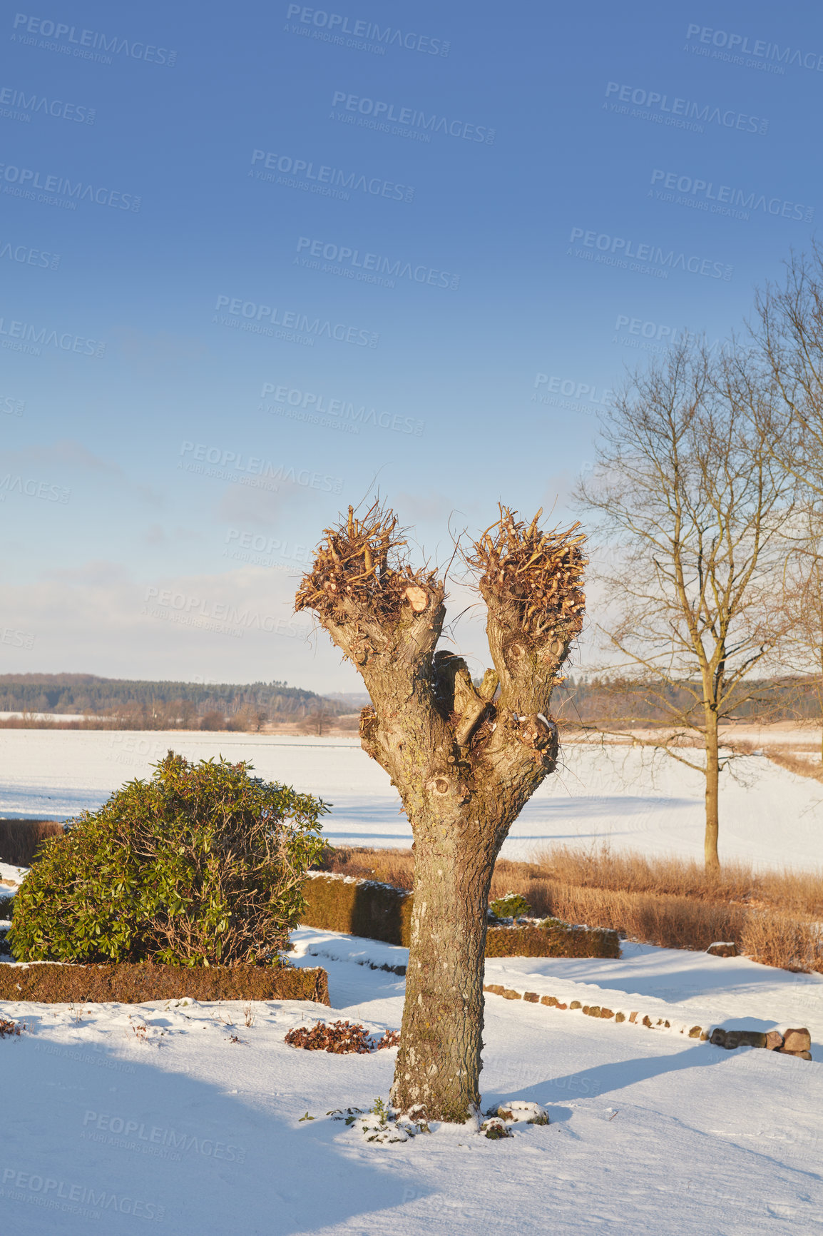 Buy stock photo Denmark in winter