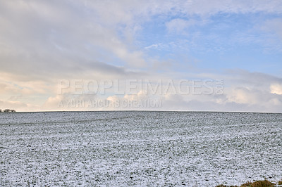 Buy stock photo Danish farmland in wintertime