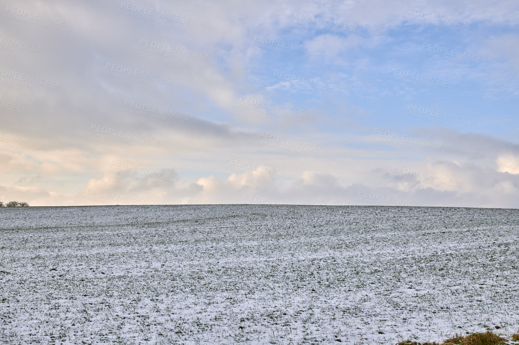 Buy stock photo Danish farmland in wintertime