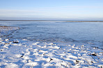 Danish Winter landscape by the coast of Kattegat