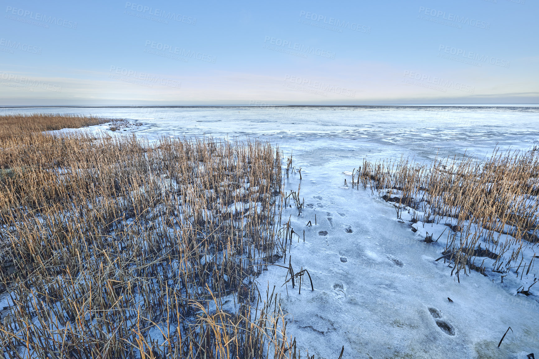 Buy stock photo Photos of Danish winter by the coast of Kattegat.