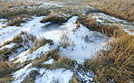 Danish Winter landscape by the coast of Kattegat