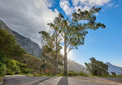 Buy stock photo A road leading to Table mountain in Cape Town, South Africa against blue sky copy space on a sunny morning. A highway along a peaceful mountain landscape with scenic views of lush green bushes 