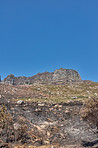 Mountain wilderness - Western Cape