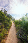 Mountain trail - Table Mountain National Park
