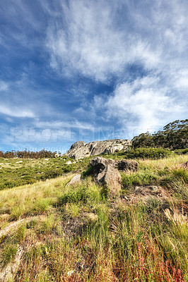 Buy stock photo Copy space with a scenic hiking trail through lush grassland along Table Mountain, South Africa with a cloudy blue sky background. Rugged, remote and quiet landscape to explore in the wilderness 

