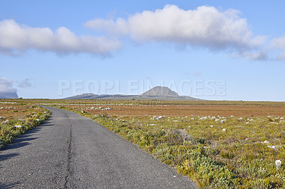 Buy stock photo Road through the wilderness of Cape Point National Park, Western Cape, South Africa