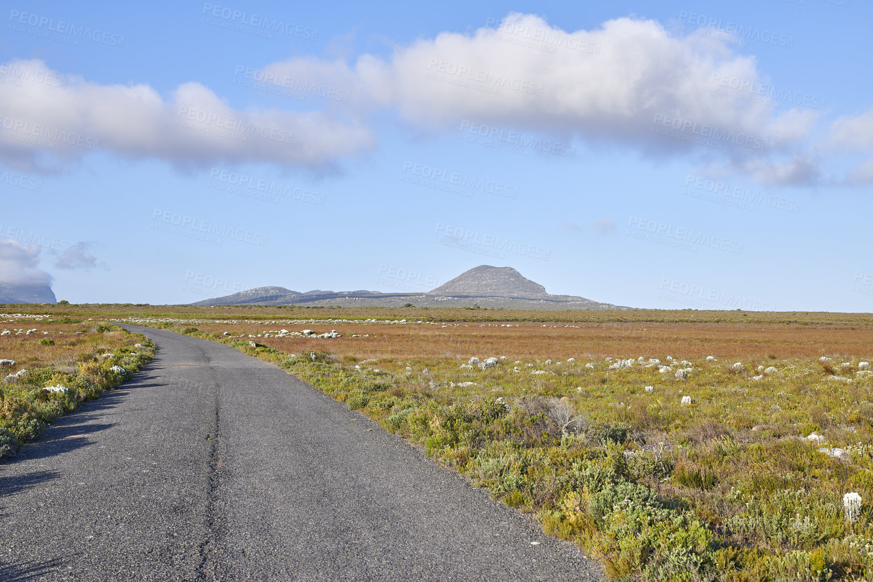 Buy stock photo Road through the wilderness of Cape Point National Park, Western Cape, South Africa