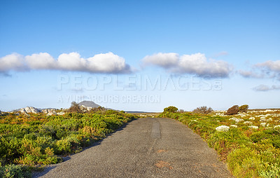 Buy stock photo Road through the wilderness of Cape Point National Park, Western Cape, South Africa