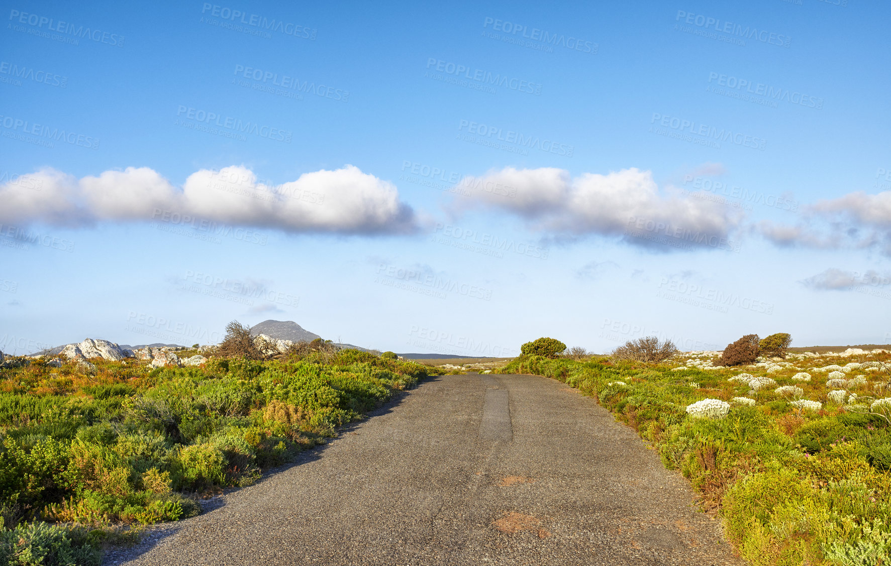 Buy stock photo Road through the wilderness of Cape Point National Park, Western Cape, South Africa