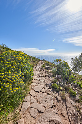 Buy stock photo Mountain trails on Lion's Head, Table Mountain National Park, Cape Town, South Africa