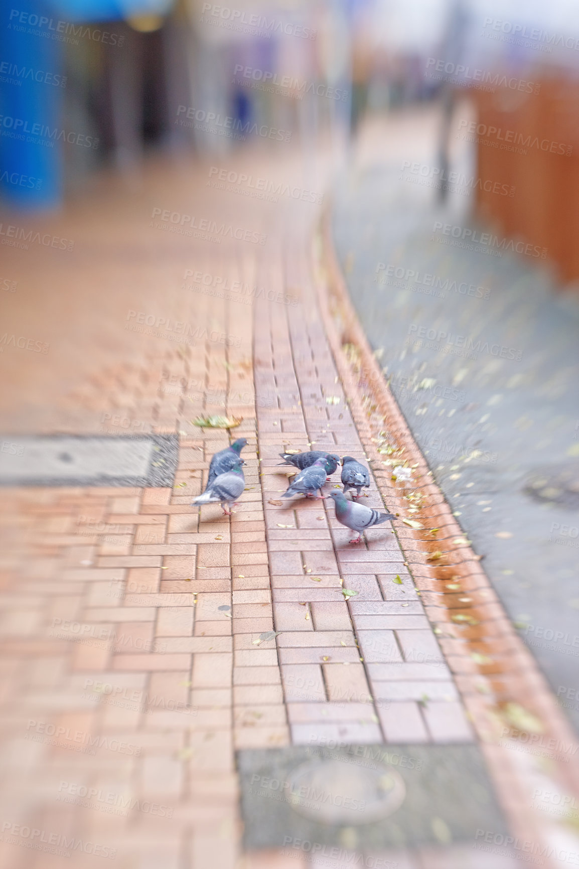 Buy stock photo A lens blurred city image