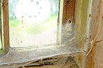 Oldwindow